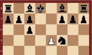 Теория шахмат: лучшие дебюты для начинающих